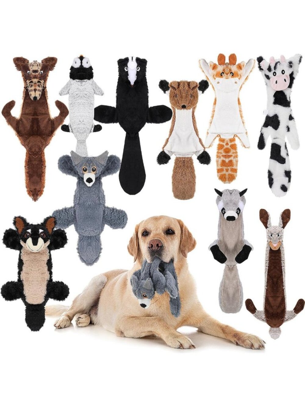 10 Pack Dog Squeaky Toys, No Stuffing, Crinkle Chewers for Fun Playtime